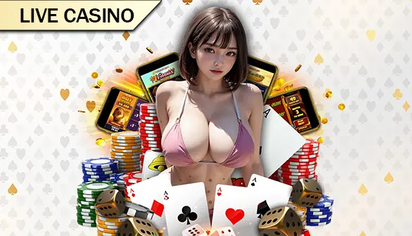 Casino DOG169